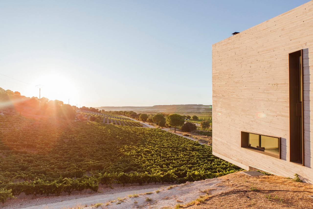 La bodega de 'Valdemonjas' ofrece una de las mejores vistas de la Ribera del Duero.