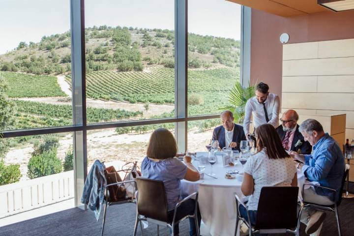 Las vistas sobre las viñas redondean la experiencia gastronómica.