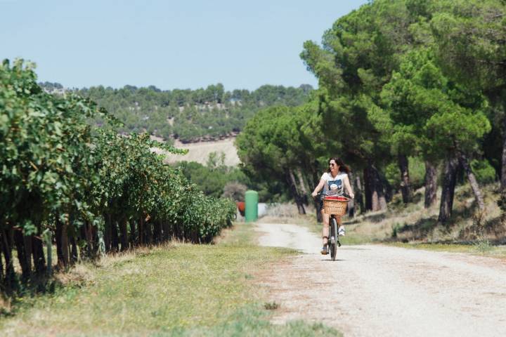 La visita en bicicleta eléctrica puede hacerse guiada o por libre. Todo el camino está muy bien señalizado.