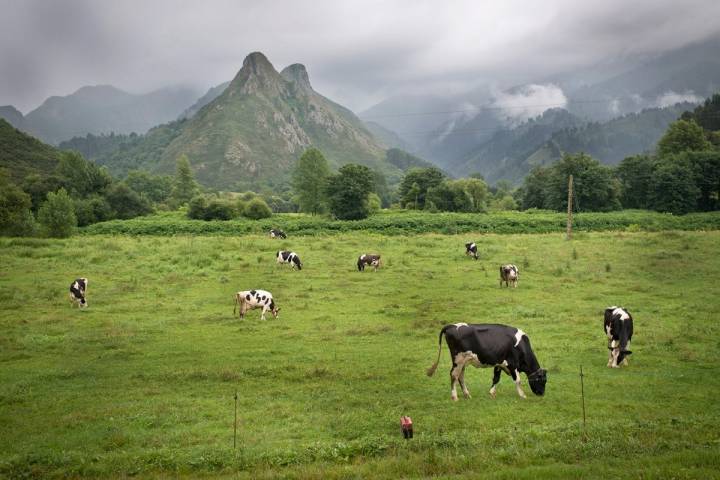 Paisaje de Cueves, al otro lado de la vía del tren.