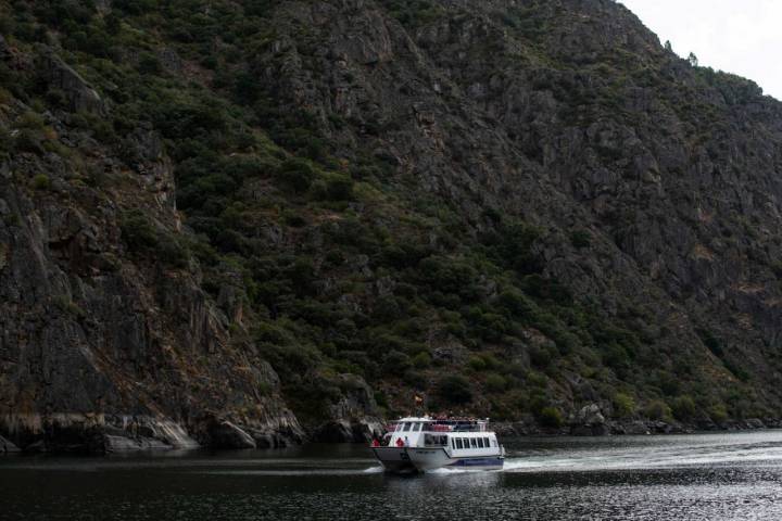 Otro barco de la provincia de Lugo recorre el Sil