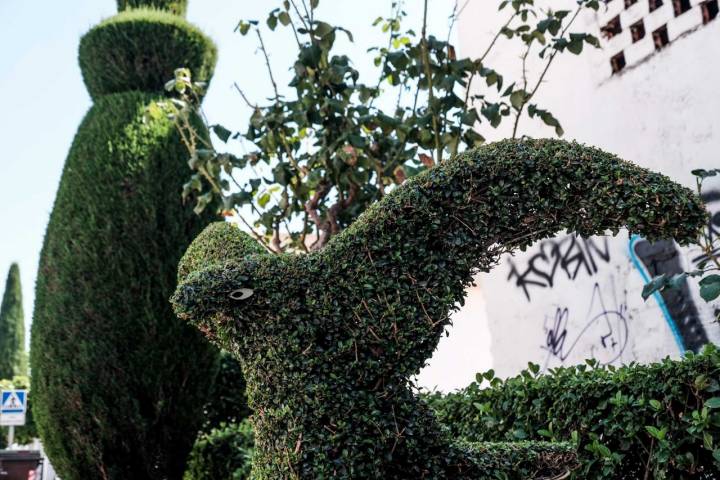 Setos con diferentes formas en los jardines del Losar de la Vera