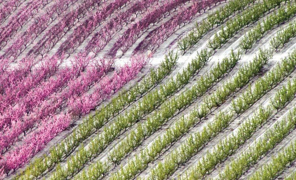 Diez lugares para dar la bienvenida a la primavera