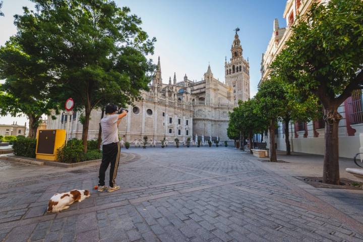 catedral sevilla