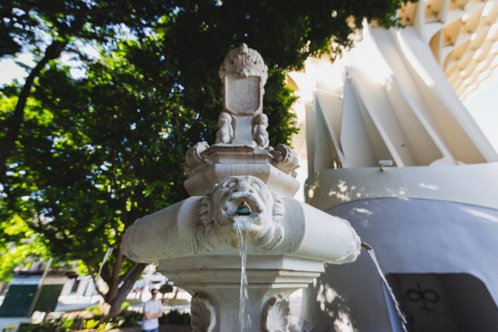 fuente plaza encarnacion sevilla