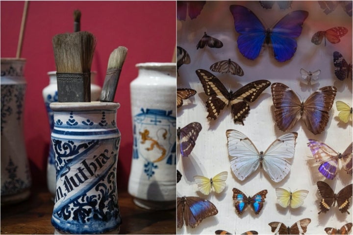 Pinceles y mariposas en el Museo Sorolla de Madrid.