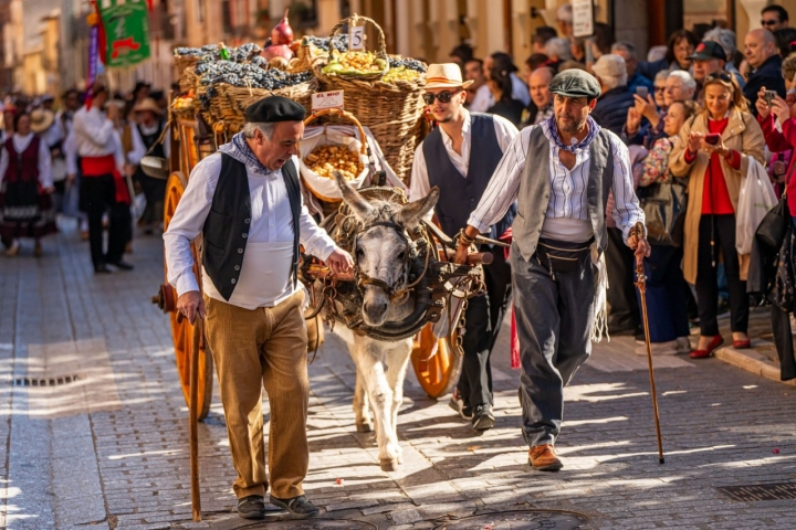 Fiesta de la Vendimia de Toro (Zamora)