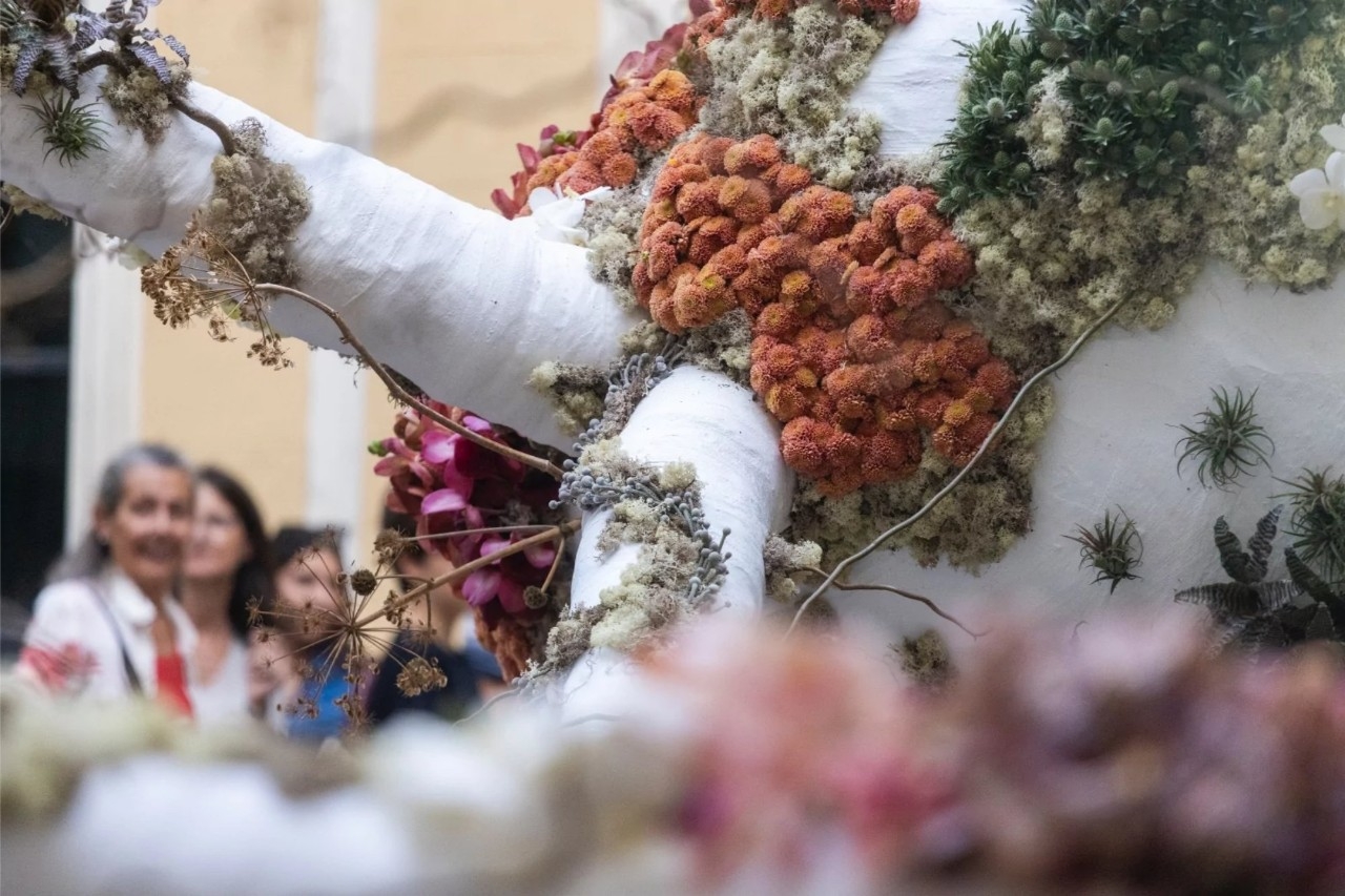Festival FLORA (Córdoba)