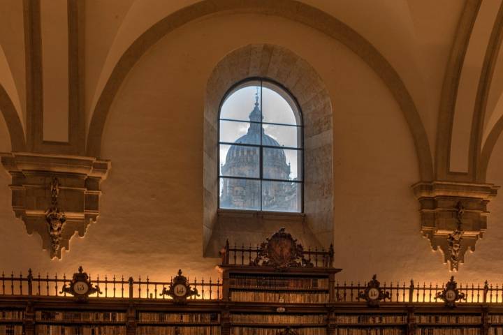 ​  Biblioteca de Salamanca. Ventana