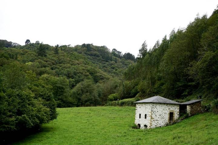 bosque cerca de navelgas