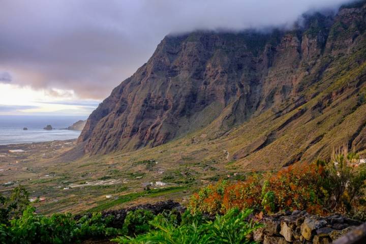 Cosecha de Pina en la isla canarias de El Hierro,