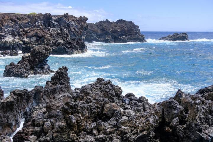 Cosecha de Pina en la isla canarias de El Hierro,