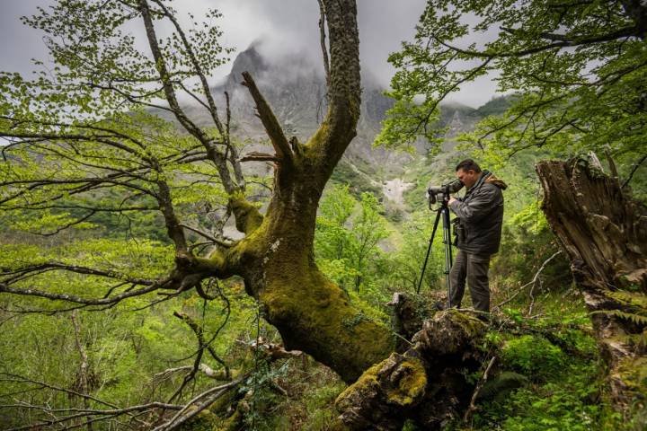 En ruta con Víctor Manuel: Bosque de Muniellos