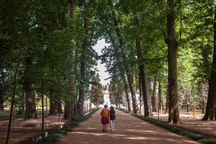 Parques y jardines alrededor del palacio.