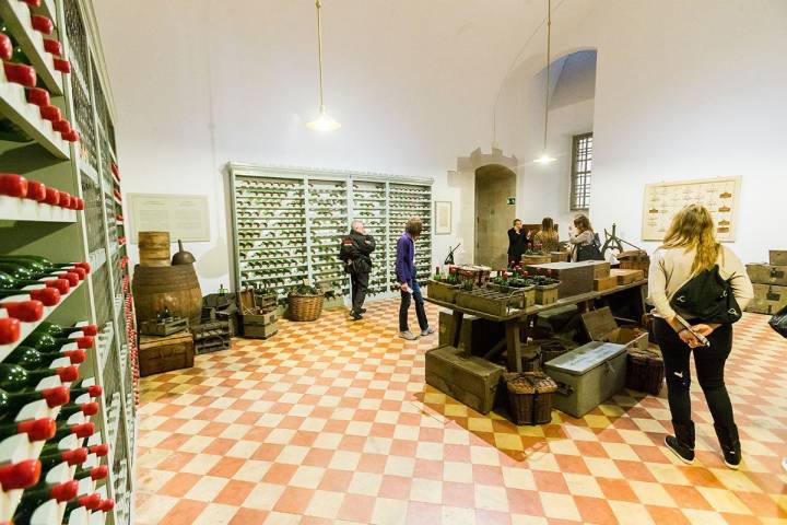 Cocinas Palacio Real: Bodega real. Foto: Máximo García