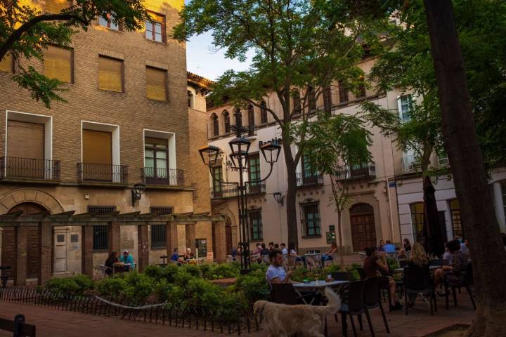 Paseo por Zaragoza: Plaza Santa Cruz