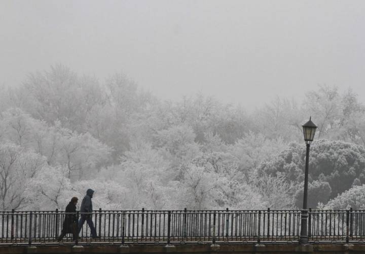 Hielo Zamora