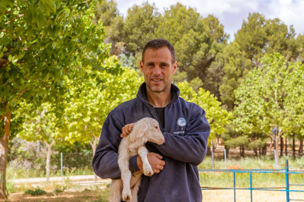 Los soñadores de la lana y el rescate de la merina