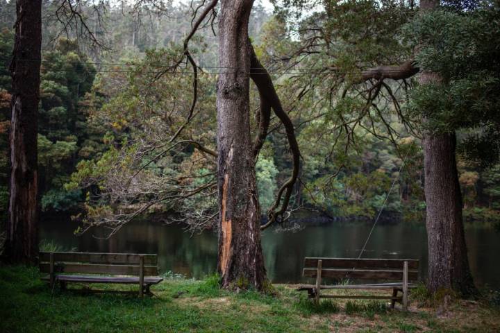 La Pesquería del Tambre: bancos frente al río