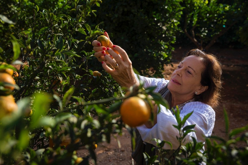 El jardín de cítricos que cuenta con su Catedral