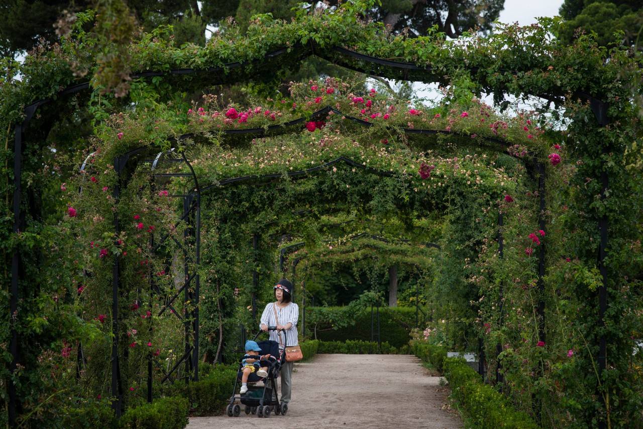 Días de vino y rosas