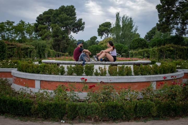 Rosaledas - Retiro