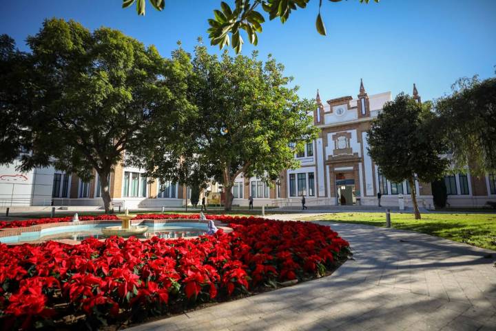 El patio invita a sentarse un rato antes al salir.