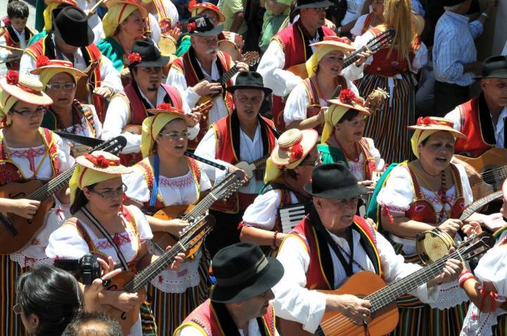 Las damas de honor de la romería de La Orotava, en Tenerife, pasean sobre camellos.