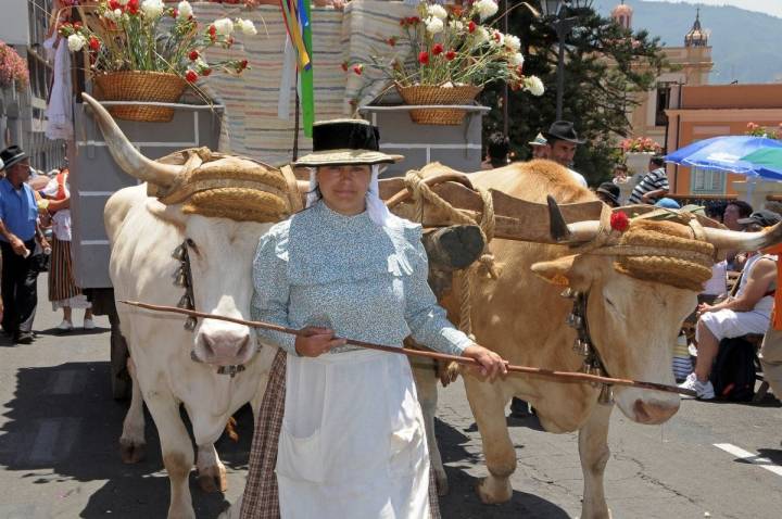 Una carreta tirada por bueyes y una paisana vestida de maga, o con el traje de campesina durante la romería de San Isidro Labrador de La Orotava, Tenerife.