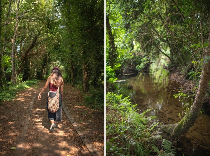 Ruta fluvial del río Artes, en Ribeira (A Coruña)