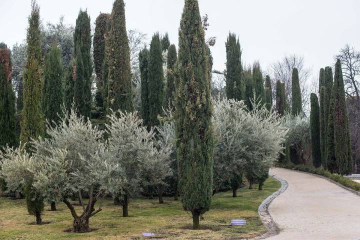 El Bosque del Recuerdo, homenaje a las víctimas del 11M, una de las joyas de los Jardines.