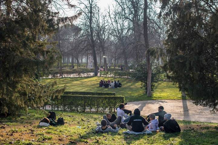 Descansar en el Retiro o encontrarse con los amigos, otra de las actividades favoritas de la fauna humana.