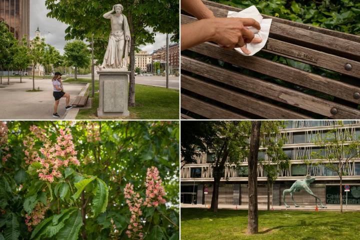 El paseo de Recoletos, florido y hermoso.