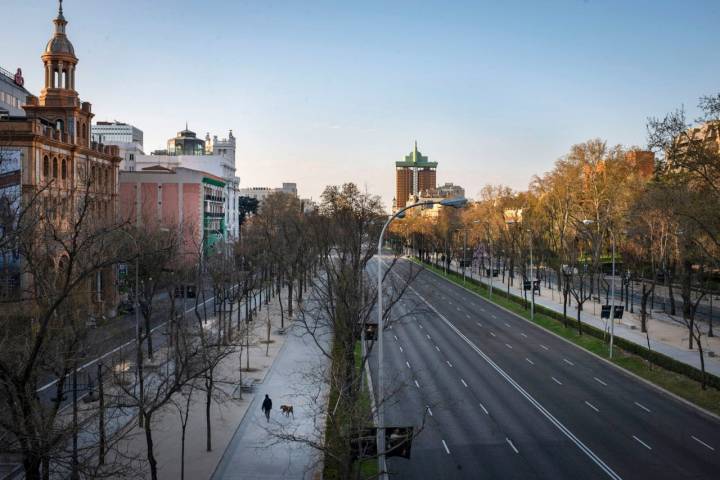 Bancos de piedra en el paseo de la Castellana.