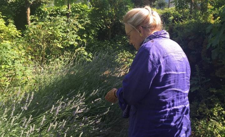 Clara María González de Amezúa, la abuela de Primi, fue la fundadora de 'Alambique'.