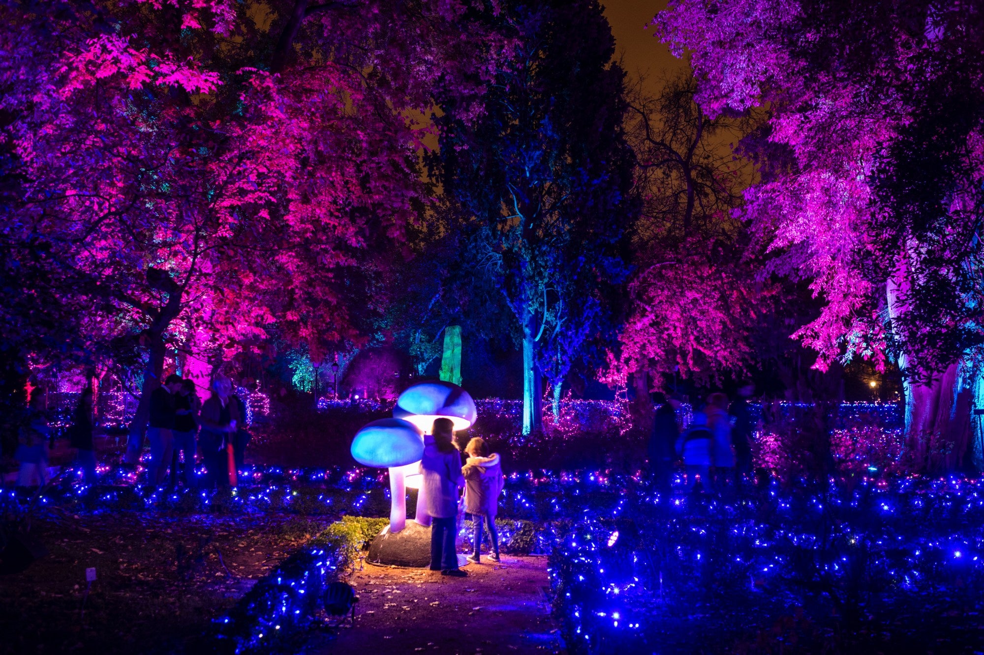 Encendido luces navidad Botánico de Madrid