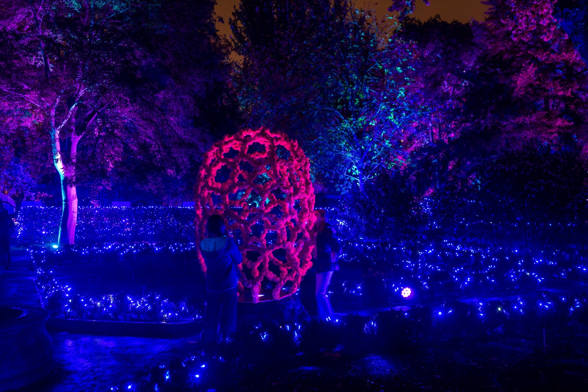 Encendido luces navidad Botánico de Madrid