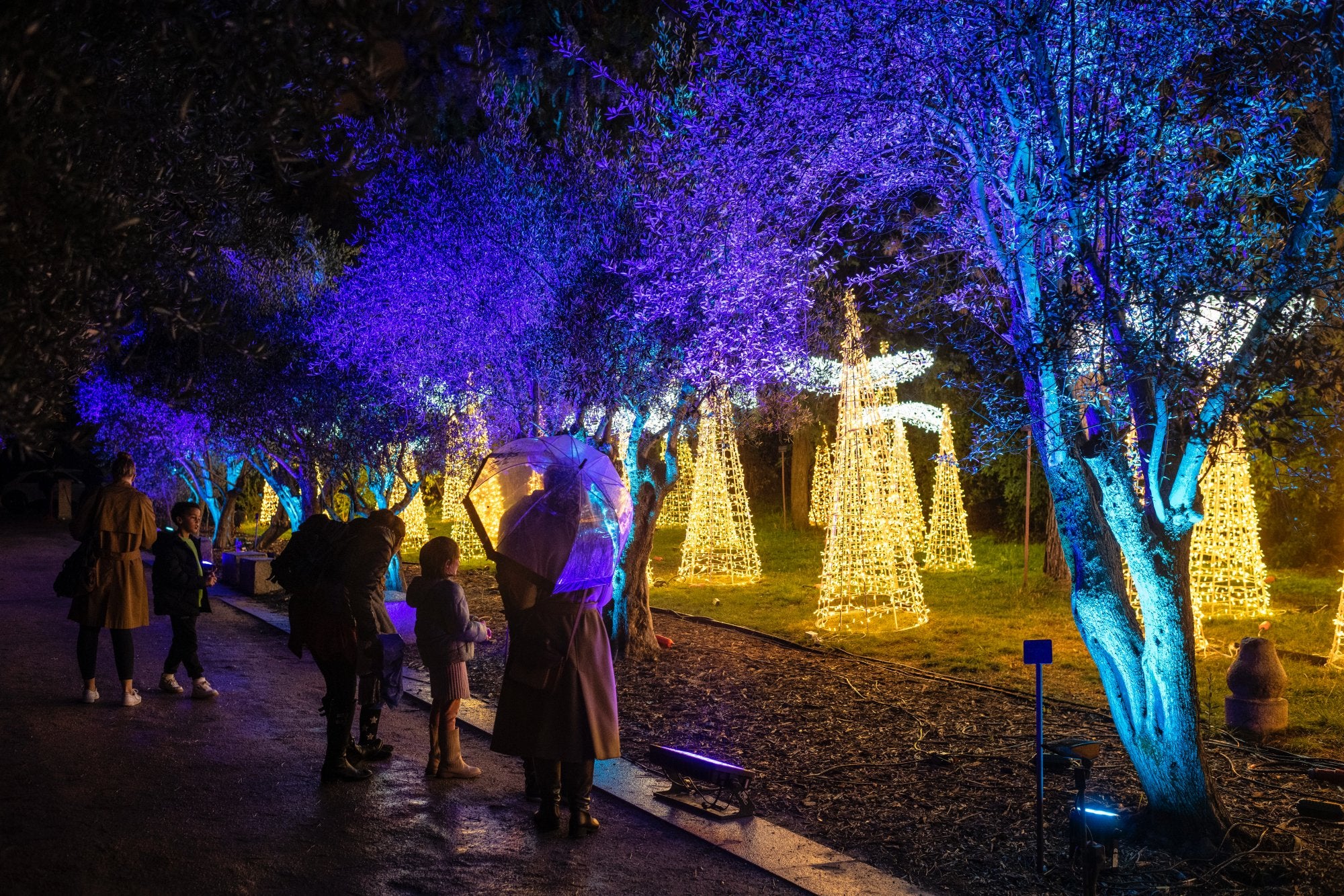 Encendido luces navidad Botánico de Madrid