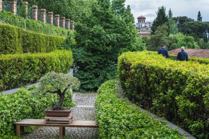 Cuando un jardín te calma las ganas de viajar. Foto: Alfredo Cáliz.