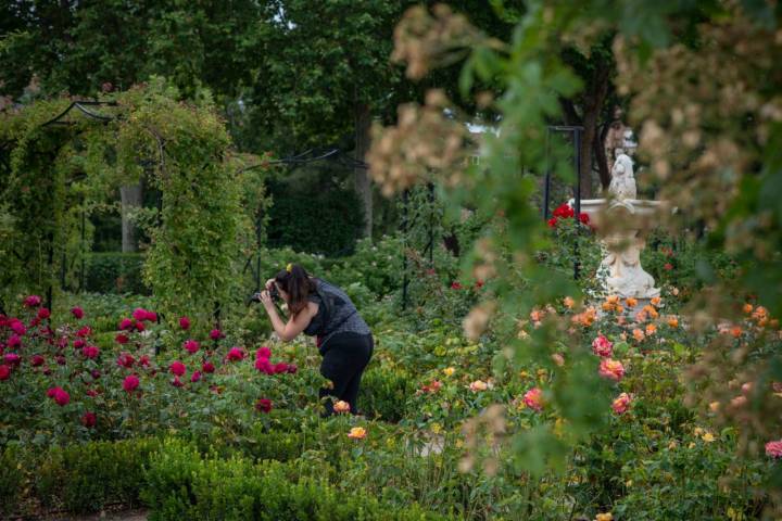 Rosaledas - Retiro