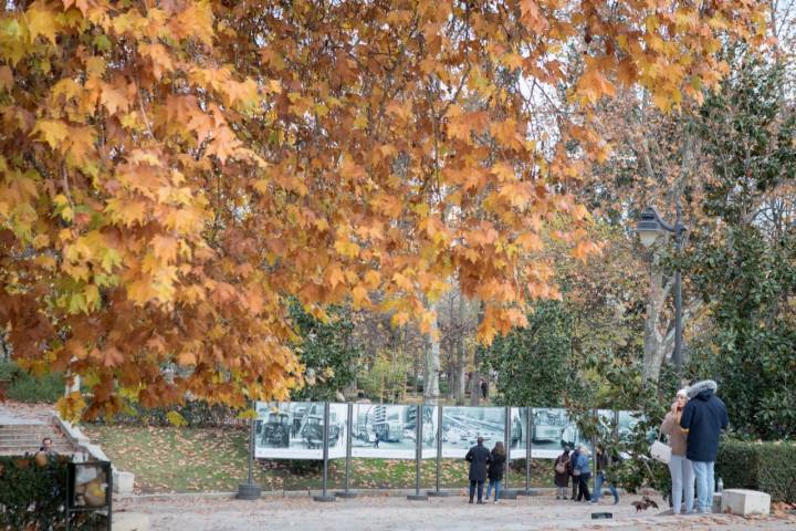 10/12/2022. Madrid. Planes cuesta de enero. Madrid. Redactora: Ana Caro. Exposición de los 75 años de la EMT en El Retiro. Foto de César Cid.