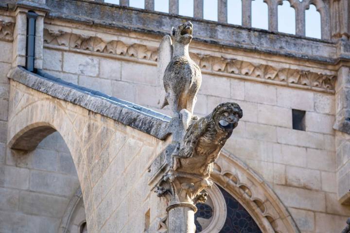 Gárgolas catedral de Burgos