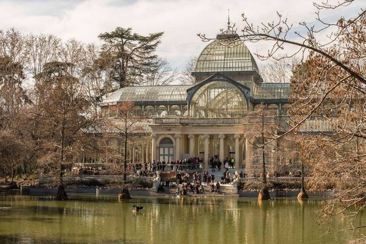 El Palacio de Cristal es el invernadero-estufa más grande del Retiro. Acogió las plantas de Filipinas en la Expo de 1887. Foto: Alfredo Cáliz.