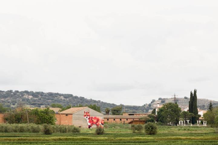 RUN @ IGNASI ROSÉS. BARCELONA. EDICIÓN 2016