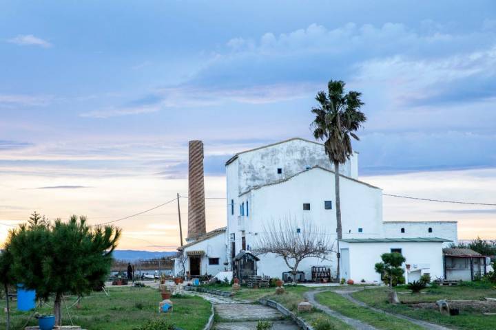 Y como despedida: la Albufera.