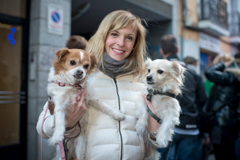 Un enero para celebrar San Antón, tomar gachas con vermús y ver arte japonés