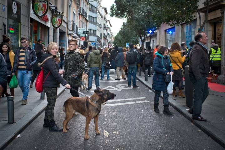 No hace falta tener mascota para acercarse a compartir el ambiente festivo en la calle de Hortaleza.