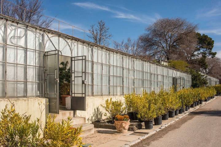 La mayoría de las estufas del Vivero del Retiro están fabricadas en Bélgica hace 200 años.