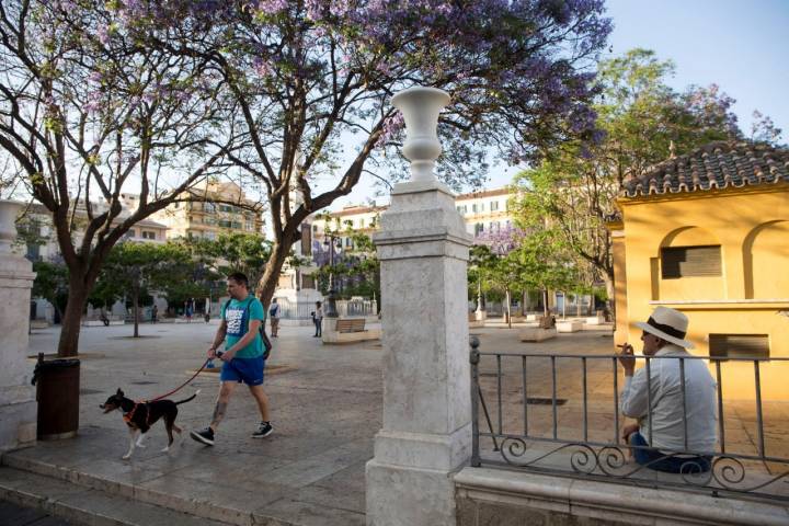 La Plaza de la Merced, en el corazón de la ciudad.