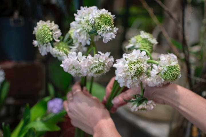 Lorena además trabaja con flores de temporada.